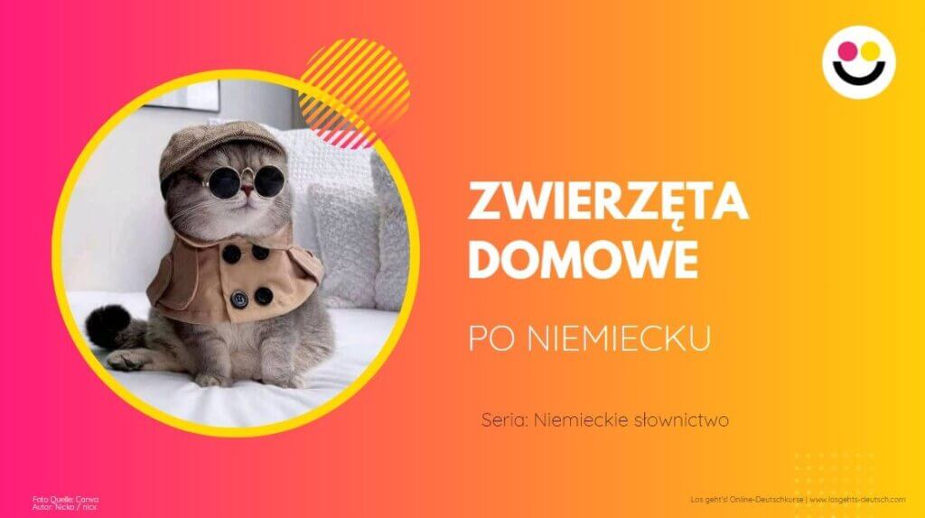Zwierzęta domowe po niemiecku - Los geht's!